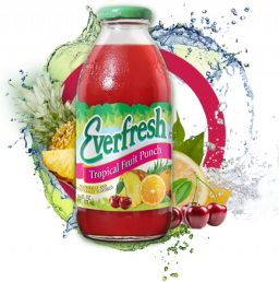 Everfresh Tropical Fruit Punch 473 ml (16 oz)